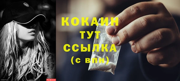 шишки Магас