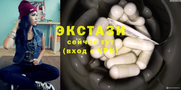 шишки Магас