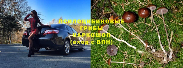шишки Магас