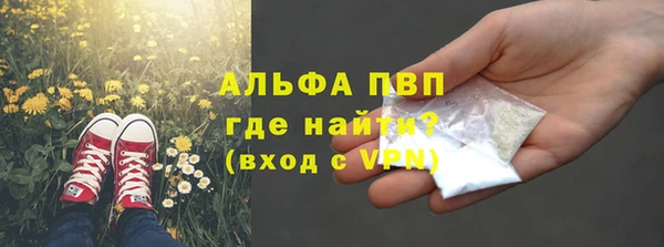 PSILOCYBIN Медвежьегорск