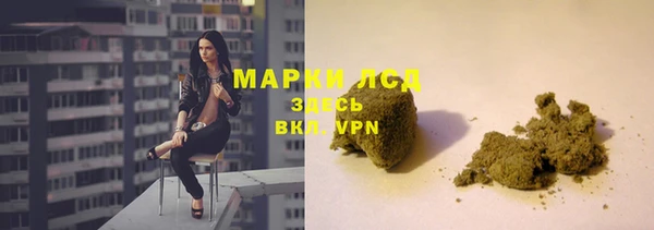 шишки Магас