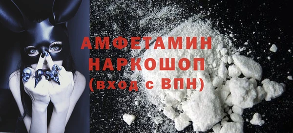 шишки Магас