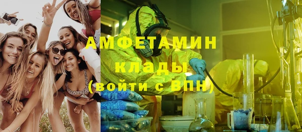 шишки Магас