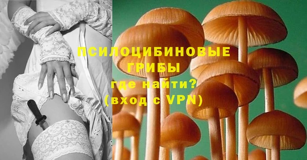PSILOCYBIN Медвежьегорск