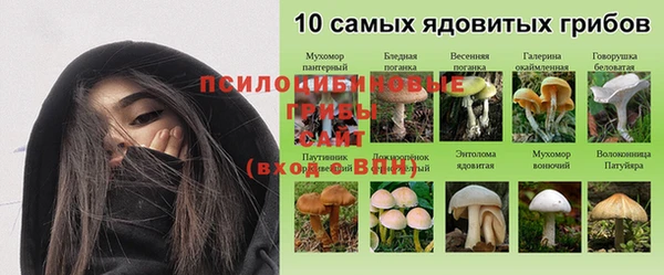 mdpv Лиски