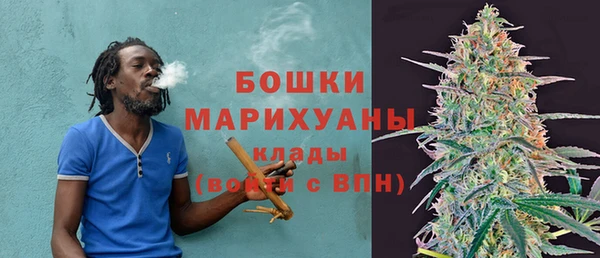 шишки Магас
