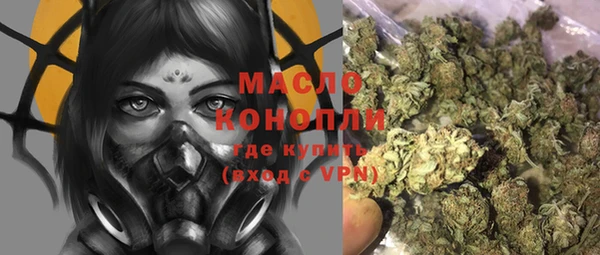 шишки Магас
