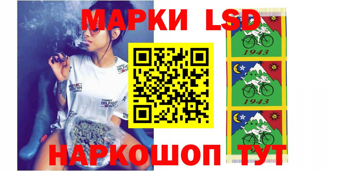МЕФ Бийск