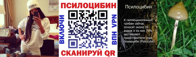 Галлюциногенные грибы MAGIC MUSHROOMS Бийск