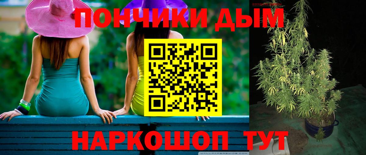 Конопля AK-47  Бийск  Шишки марихуана семена  Бошки марихуана сатива 